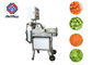 Restaurant Salad Cutting Machine , Cabbage Leek Fruit Cutter Cutting Machine