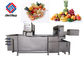 Automatic Air Bubble Vegetable And Fruit Washing Machine For Food Processing Industry