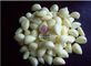 Automatic  Garlic Separating Machine With Pressure Buffering Function