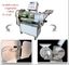 Multifunction Vegetable Cutter With SUS 304 Stainless Steel One Year Warranty