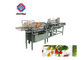 800-1000kg/H Vegetable Fruit Washing Machine Salad Processing Equipment