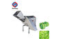 20mm 25mm 1.5KW Salad Dicer Fruit Processing Equipment