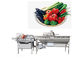 Customizable Vortex Fruit And Vegetable Cleaner Machine Leaves Cleanning Equipment