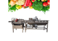 304 SS Vegetable Fruit Washing Machine Salad Cleanning Equipment