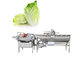 304 SS Vegetable Fruit Washing Machine Salad Cleanning Equipment