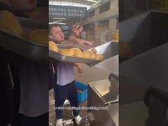 12 محطات قطع محطة الطرد المركزي لقطع رقائق البطاطا مع نتائج ممتازة